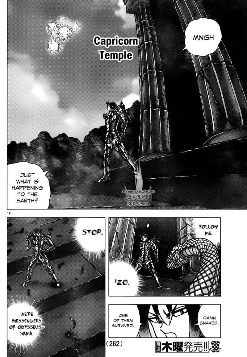Saint Seiya Next Dimension Chapter 74 Page 11