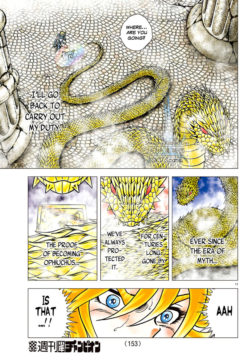 Saint Seiya Next Dimension Chapter 83 Page 11