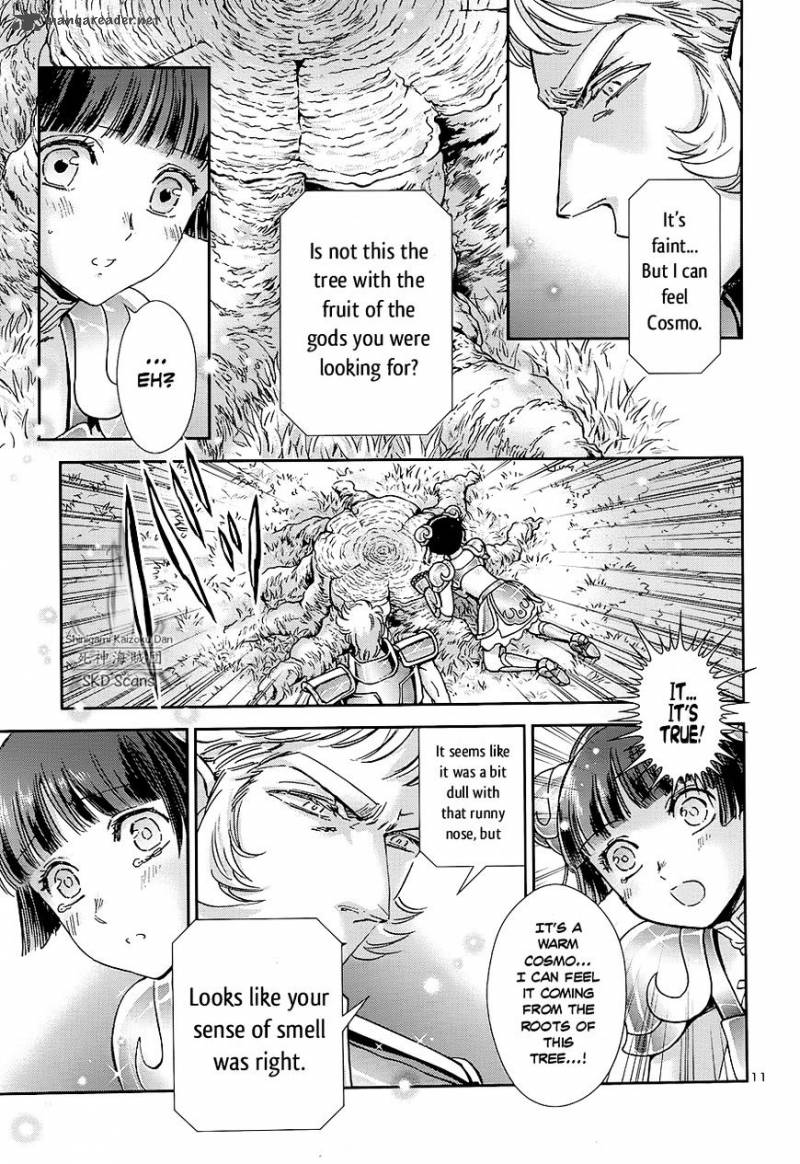 Saint Seiya Saintia Shou Chapter 41 Page 12