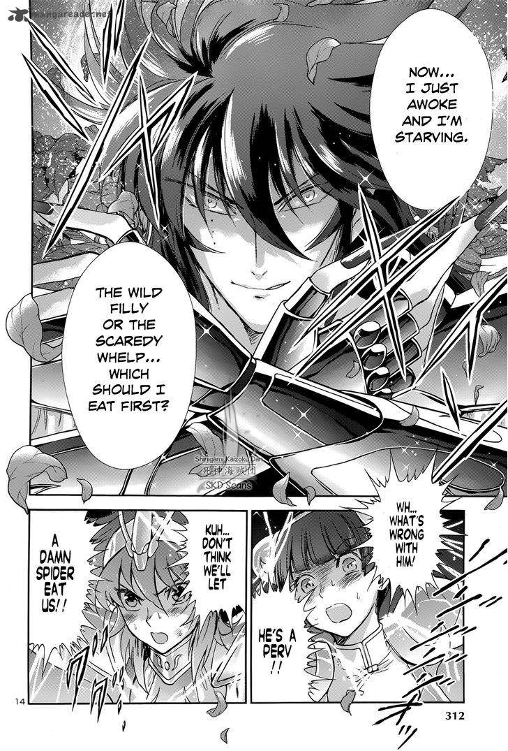 Saint Seiya Saintia Shou Chapter 47 Page 13