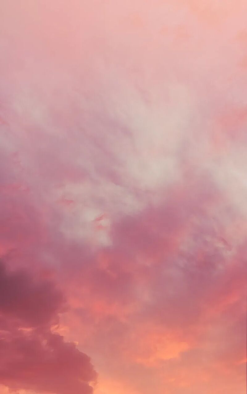 Second Life Ranker Chapter 219 Page 1