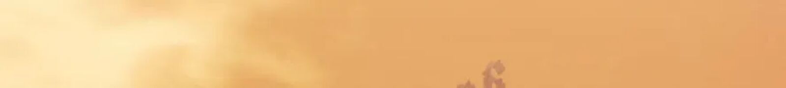 Second Life Ranker Chapter 219 Page 170