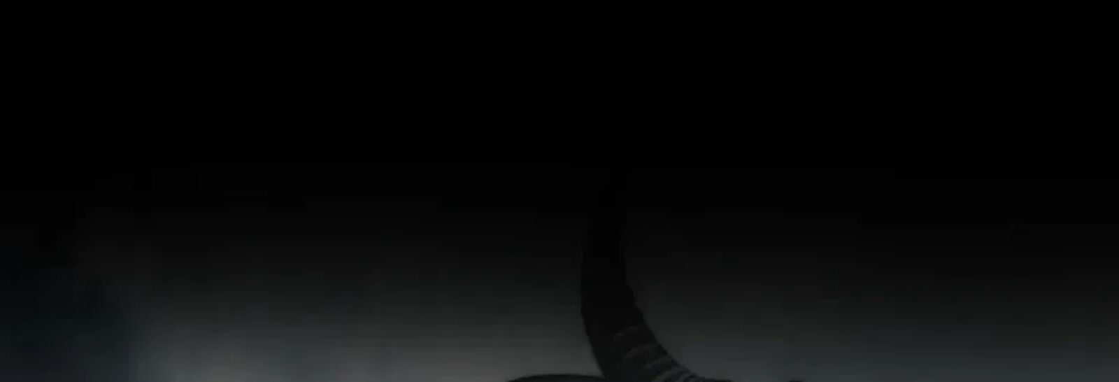 Second Life Ranker Chapter 219 Page 72