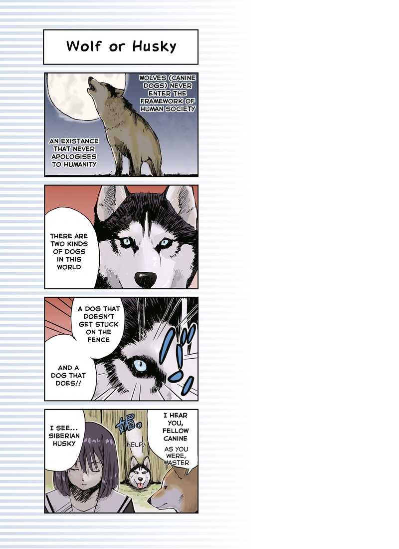 Sekai No Owari Ni Shiba Inu To Chapter 11 Page 7