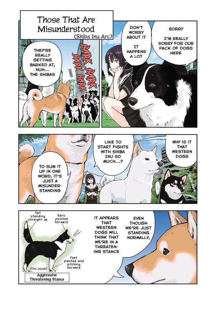 Sekai No Owari Ni Shiba Inu To Chapter 22 Page 8