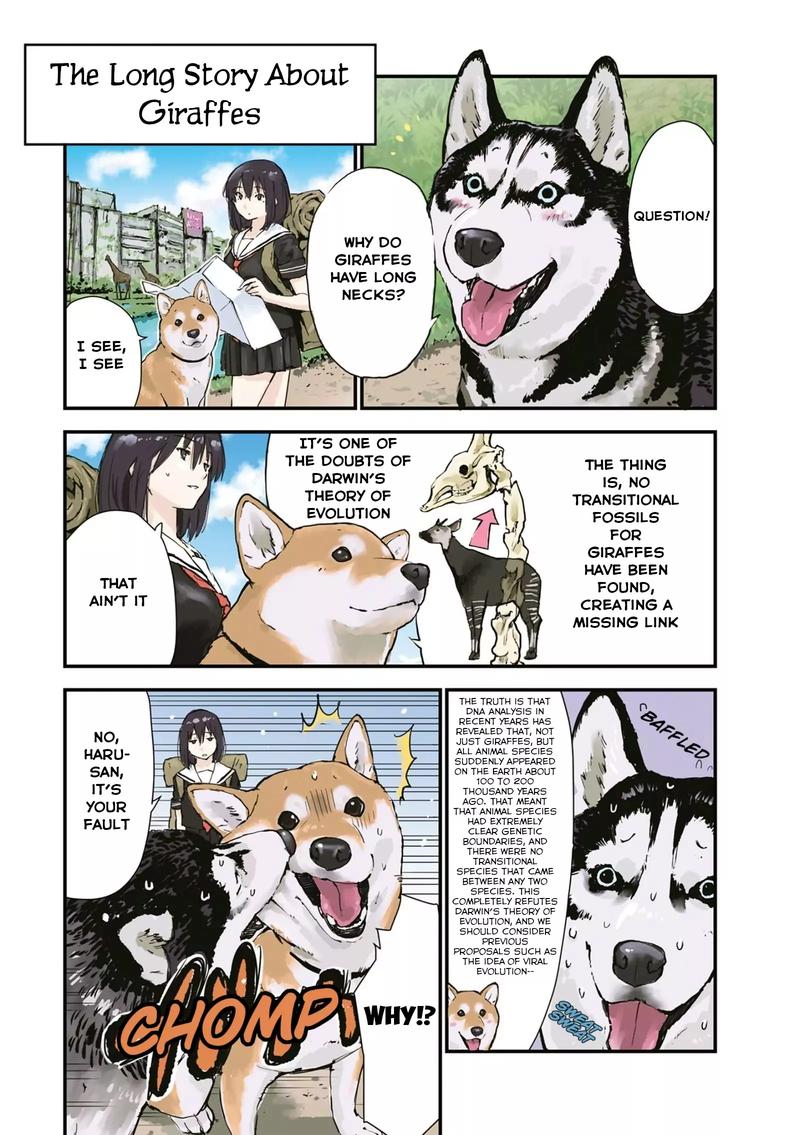 Sekai No Owari Ni Shiba Inu To Chapter 26 Page 4