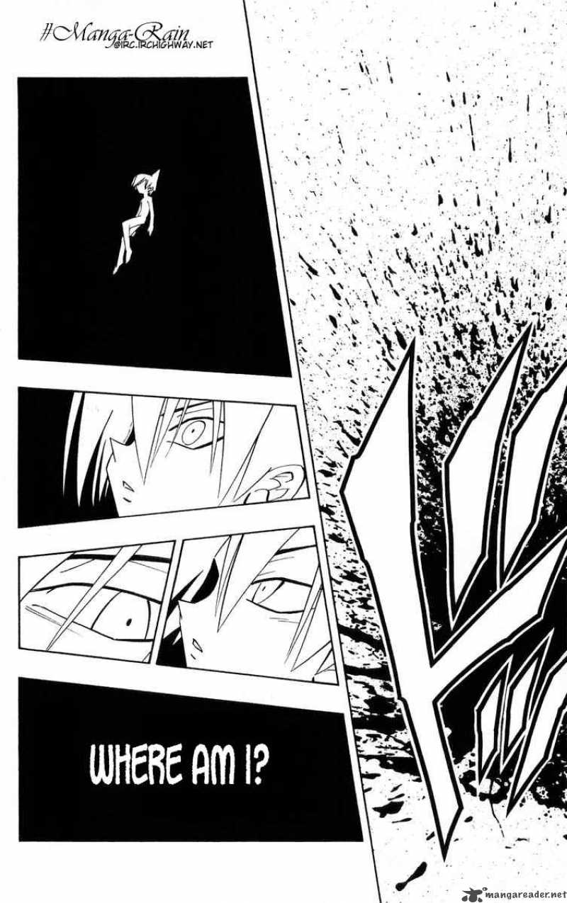 Shaman King Chapter 179 Page 13