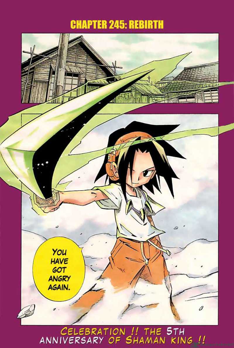 Shaman King Chapter 246 Page 1