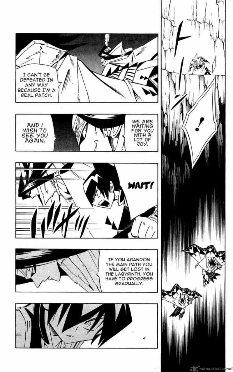 Shaman King Chapter 266 Page 17