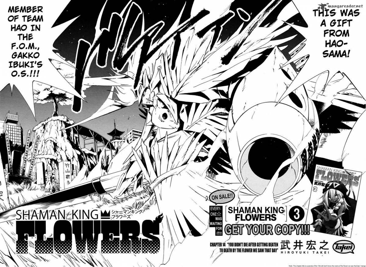 Shaman King Flowers Chapter 14 Page 3