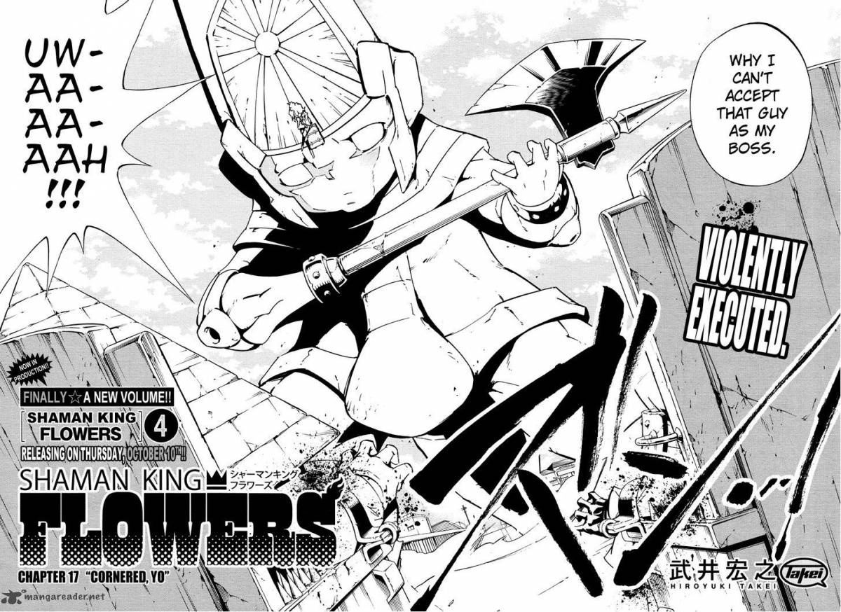 Shaman King Flowers Chapter 17 Page 5