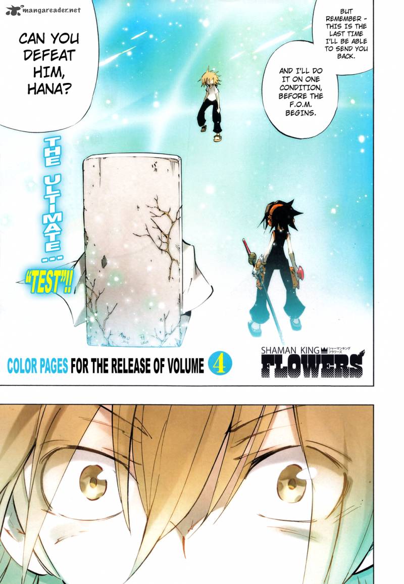 Shaman King Flowers Chapter 18 Page 3
