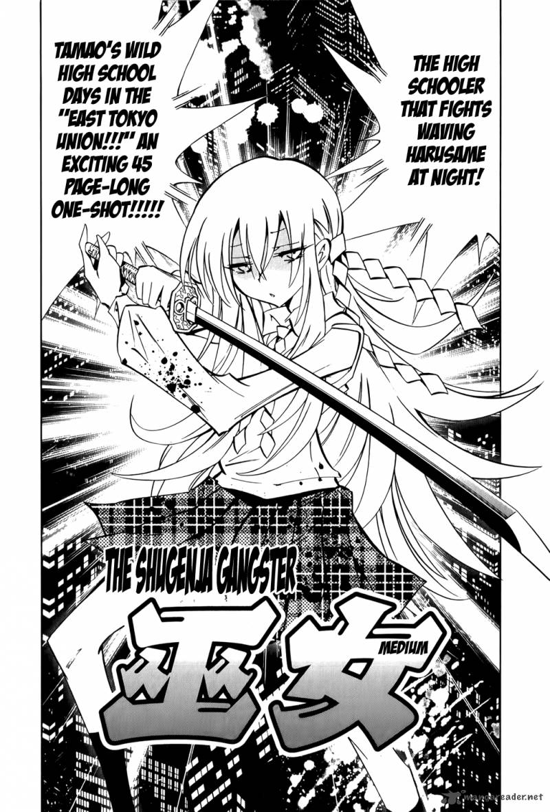 Shaman King Remix Track Chapter 10 Page 8