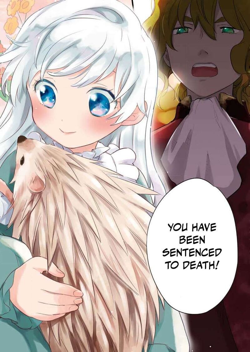Shi Ni Modori Reijou No Kari Hajime Kekkon Chapter 1 Page 5