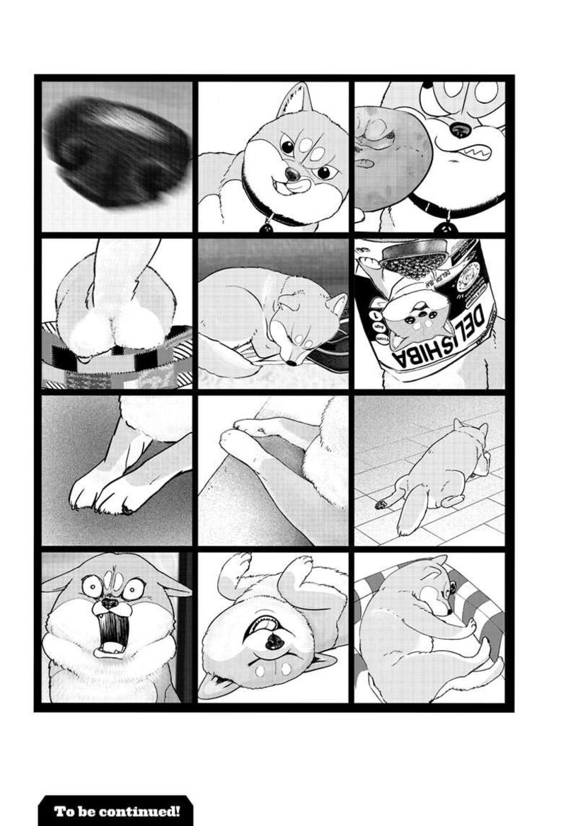 Shiba Tsuki Bukken Chapter 29e Page 10