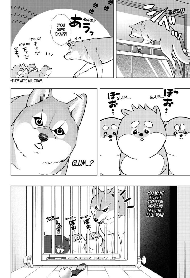 Shiba Tsuki Bukken Chapter 32 Page 12