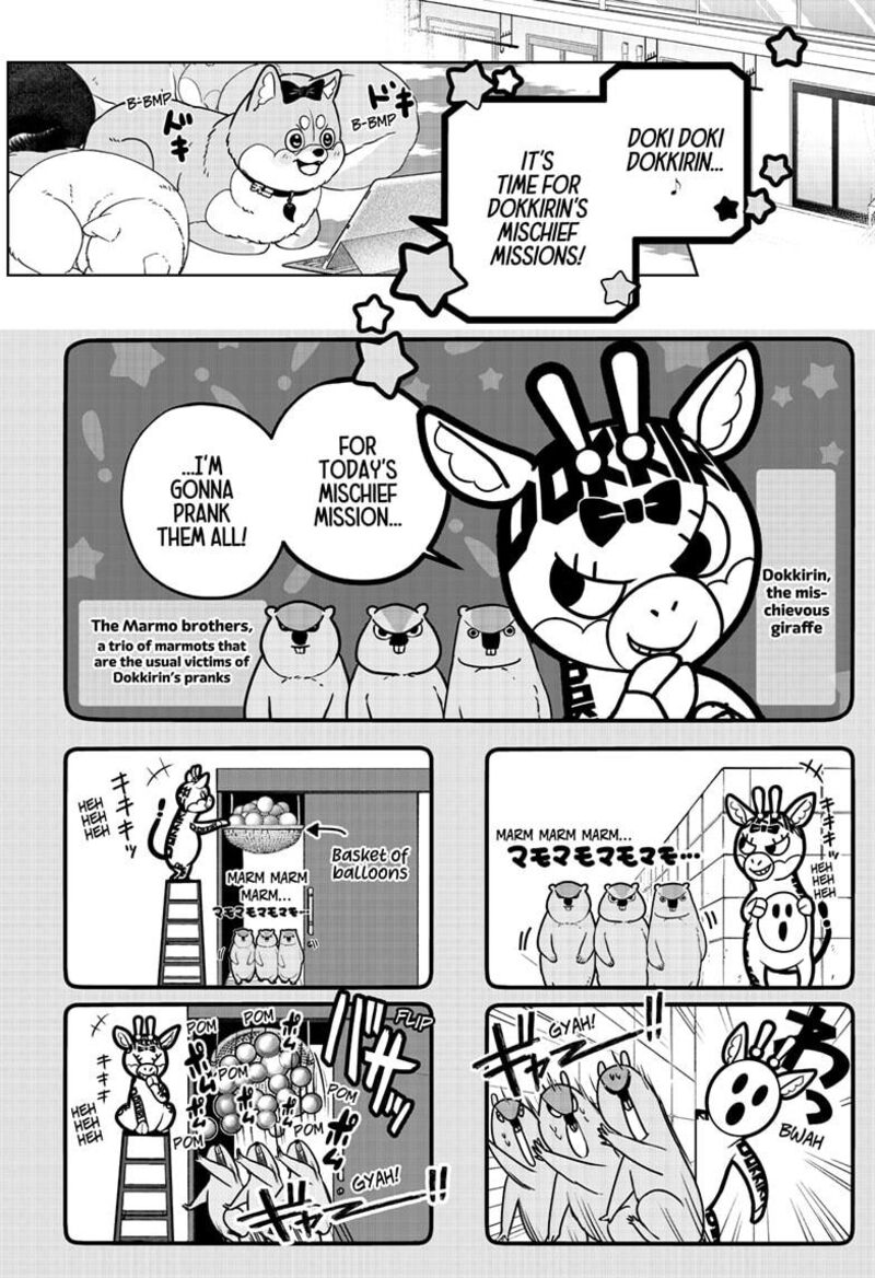 Shiba Tsuki Bukken Chapter 33 Page 4