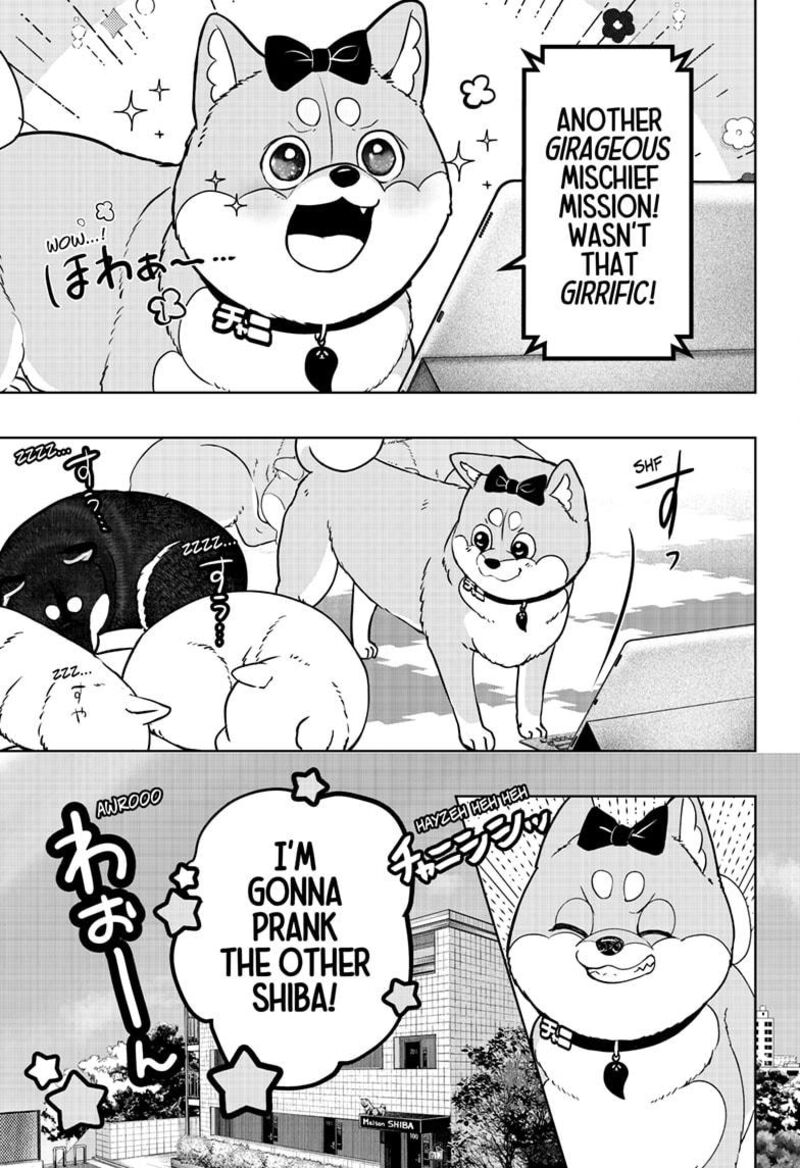 Shiba Tsuki Bukken Chapter 33 Page 5