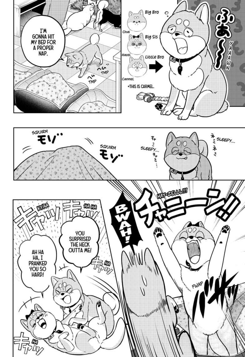 Shiba Tsuki Bukken Chapter 33 Page 6