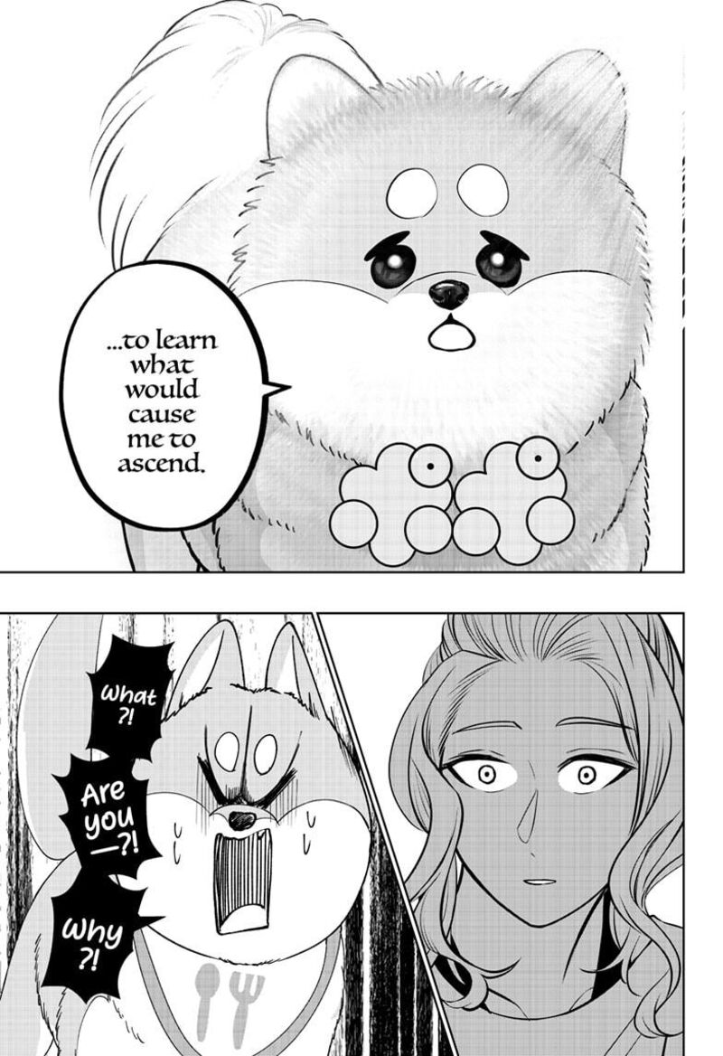 Shiba Tsuki Bukken Chapter 34 Page 13