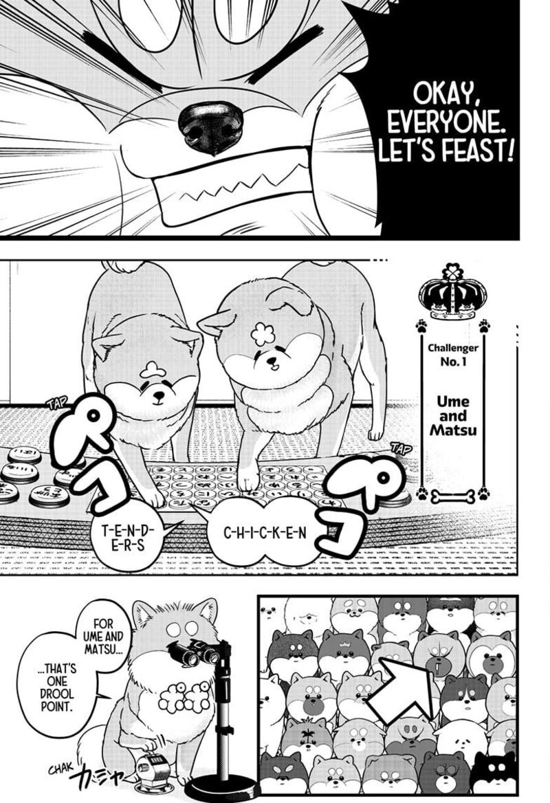 Shiba Tsuki Bukken Chapter 36 Page 11