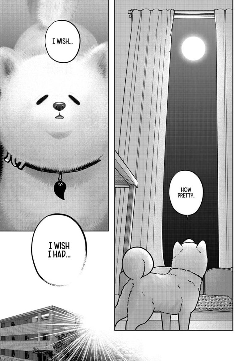 Shiba Tsuki Bukken Chapter 39 Page 7