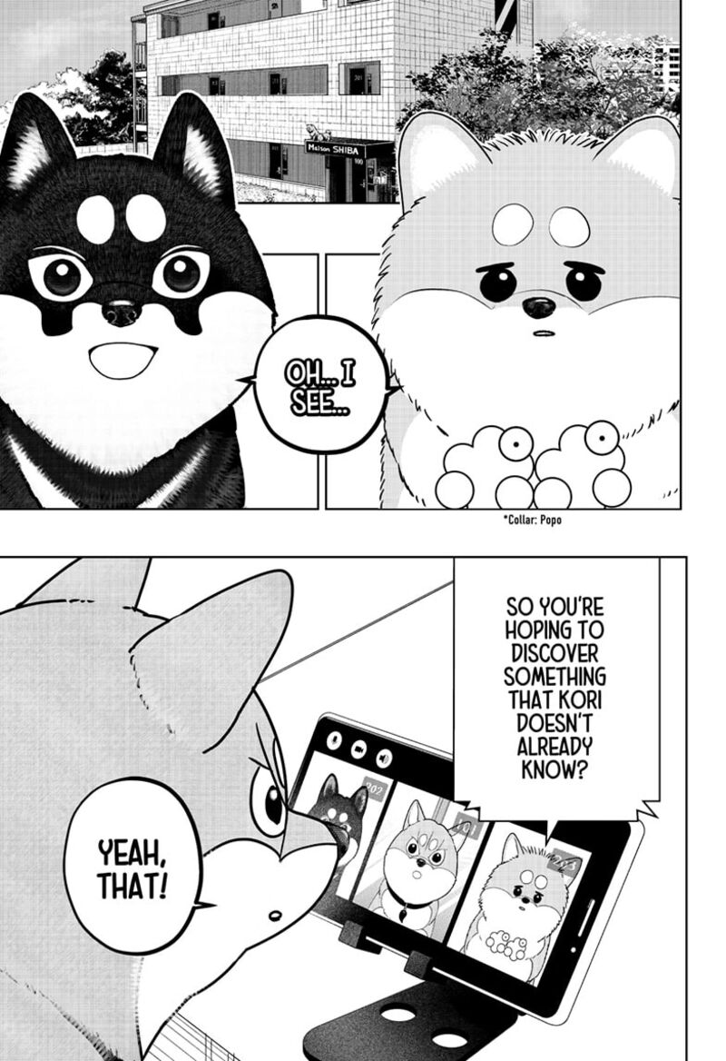 Shiba Tsuki Bukken Chapter 49 Page 13