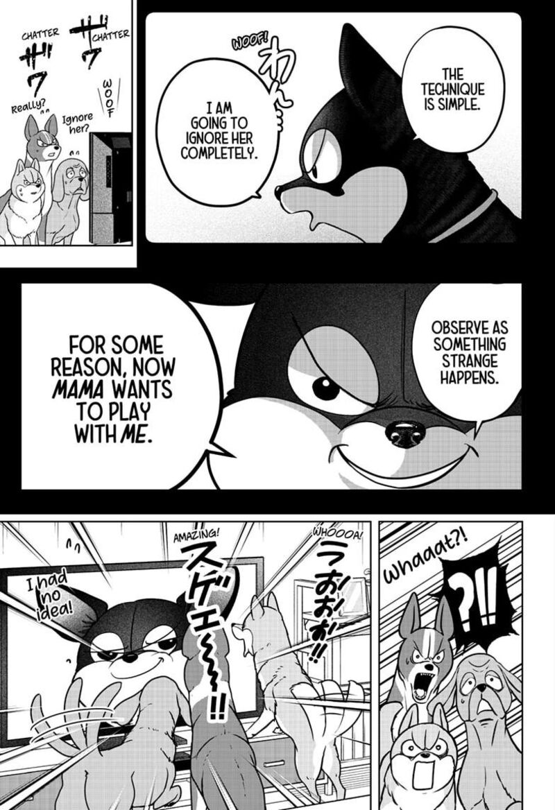 Shiba Tsuki Bukken Chapter 52 Page 17