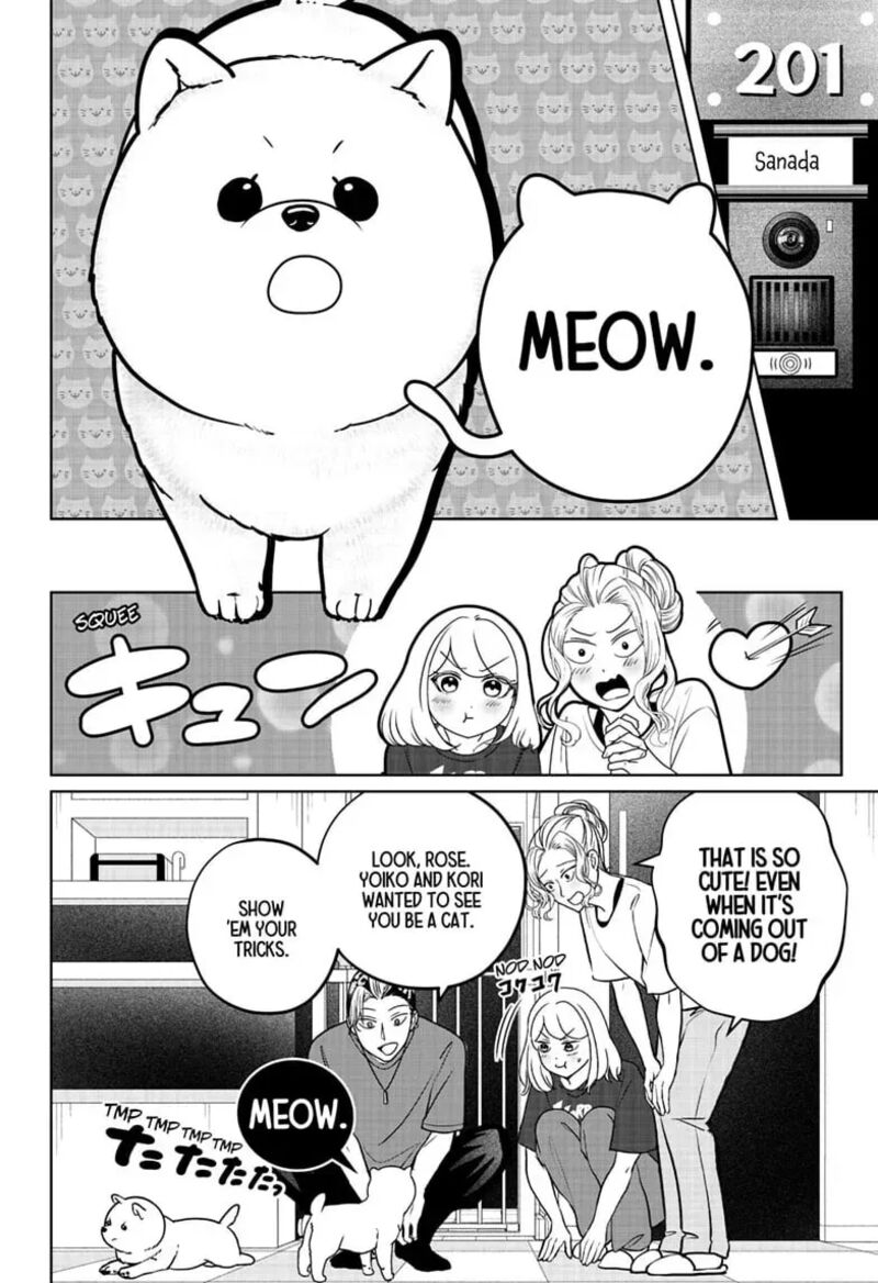 Shiba Tsuki Bukken Chapter 53 Page 10