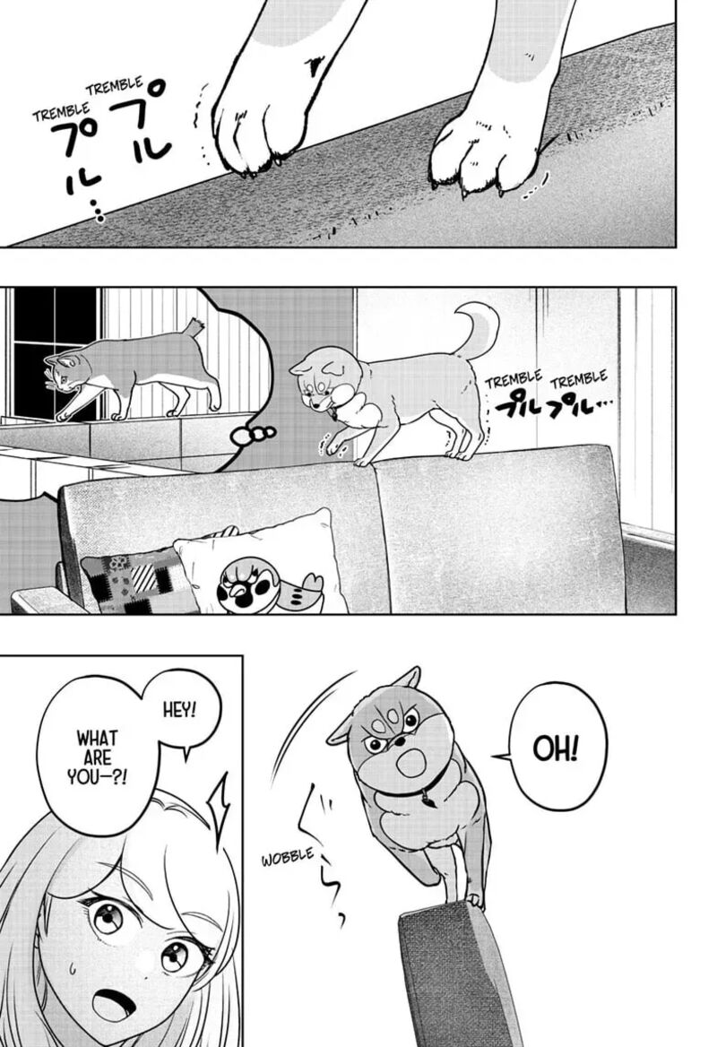 Shiba Tsuki Bukken Chapter 53 Page 25