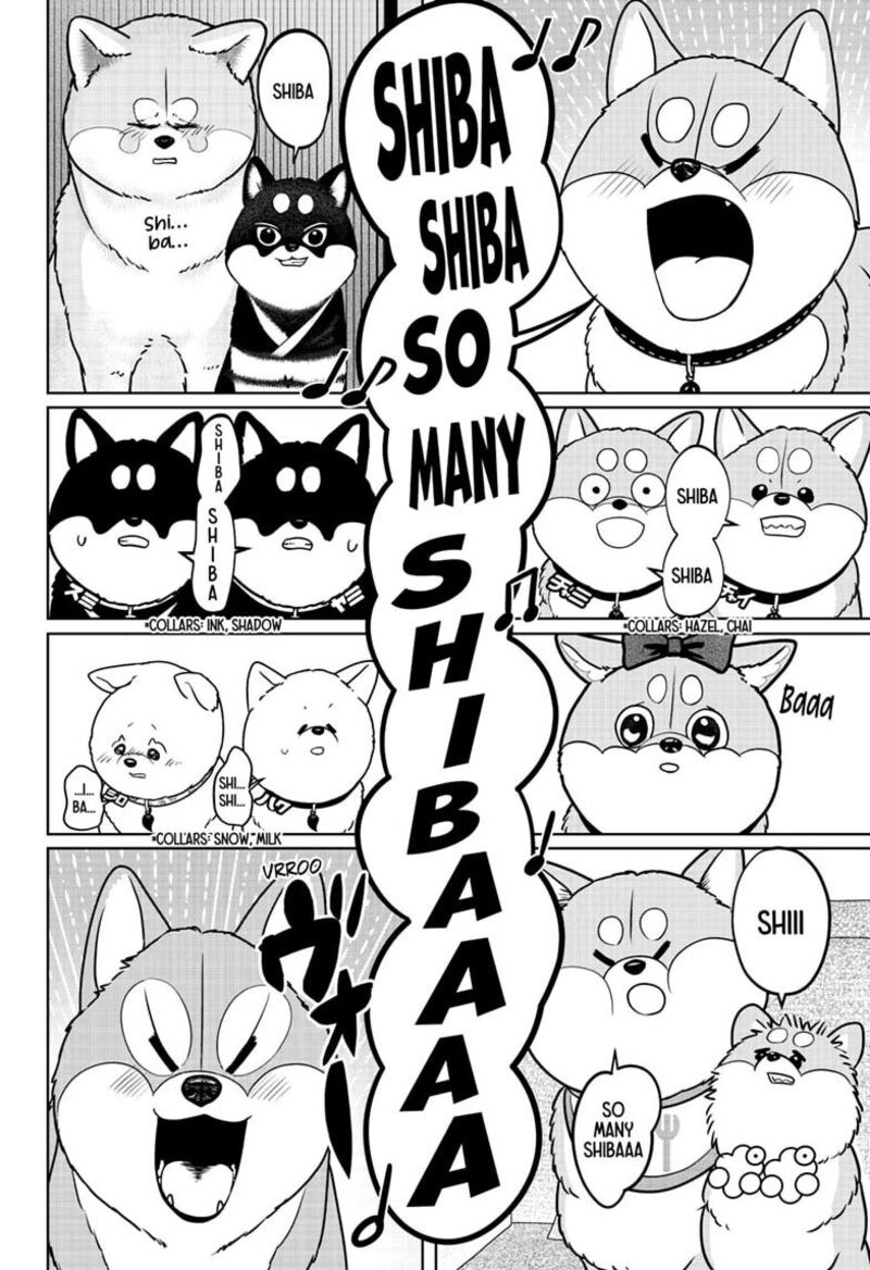 Shiba Tsuki Bukken Chapter 62 Page 12