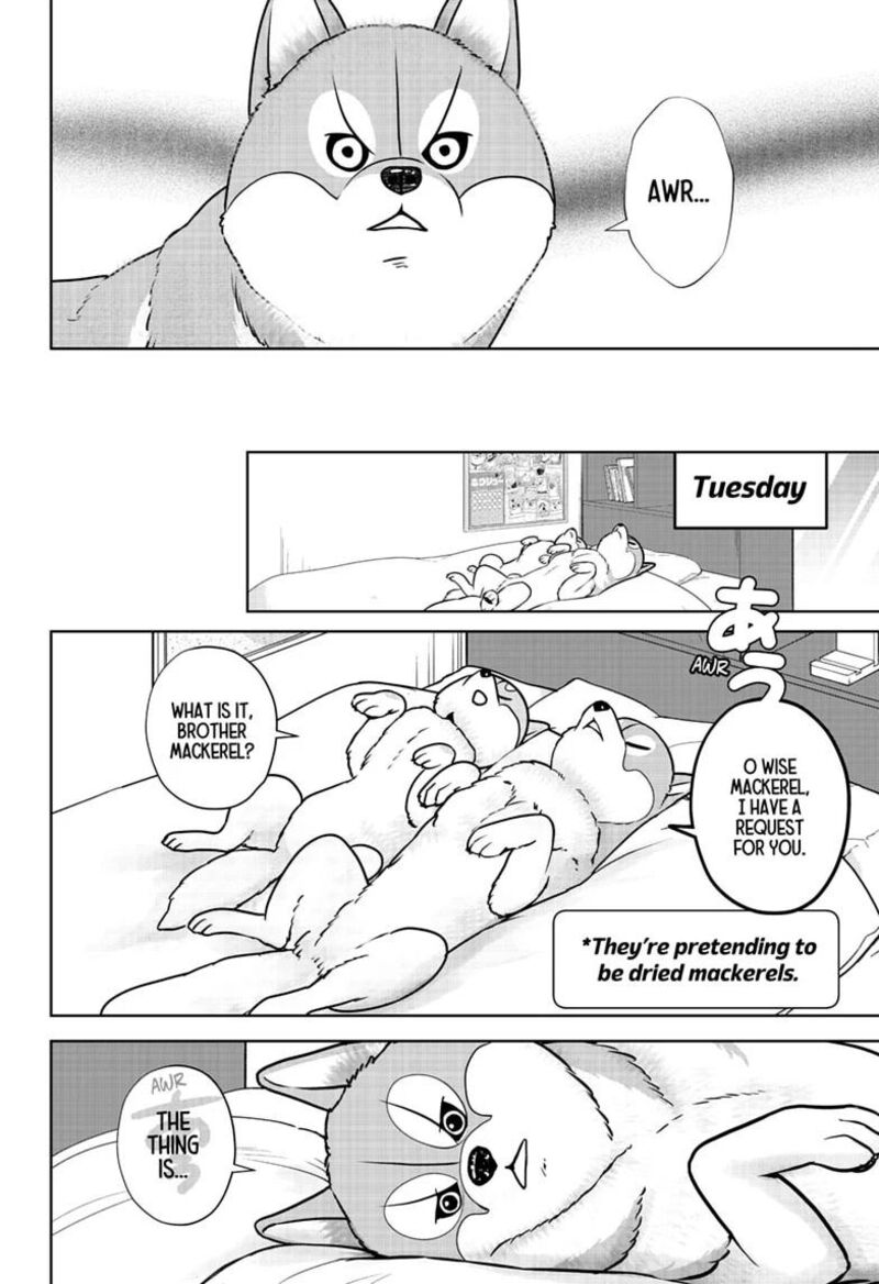 Shiba Tsuki Bukken Chapter 62 Page 2