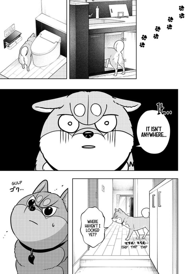 Shiba Tsuki Bukken Chapter 63 Page 11