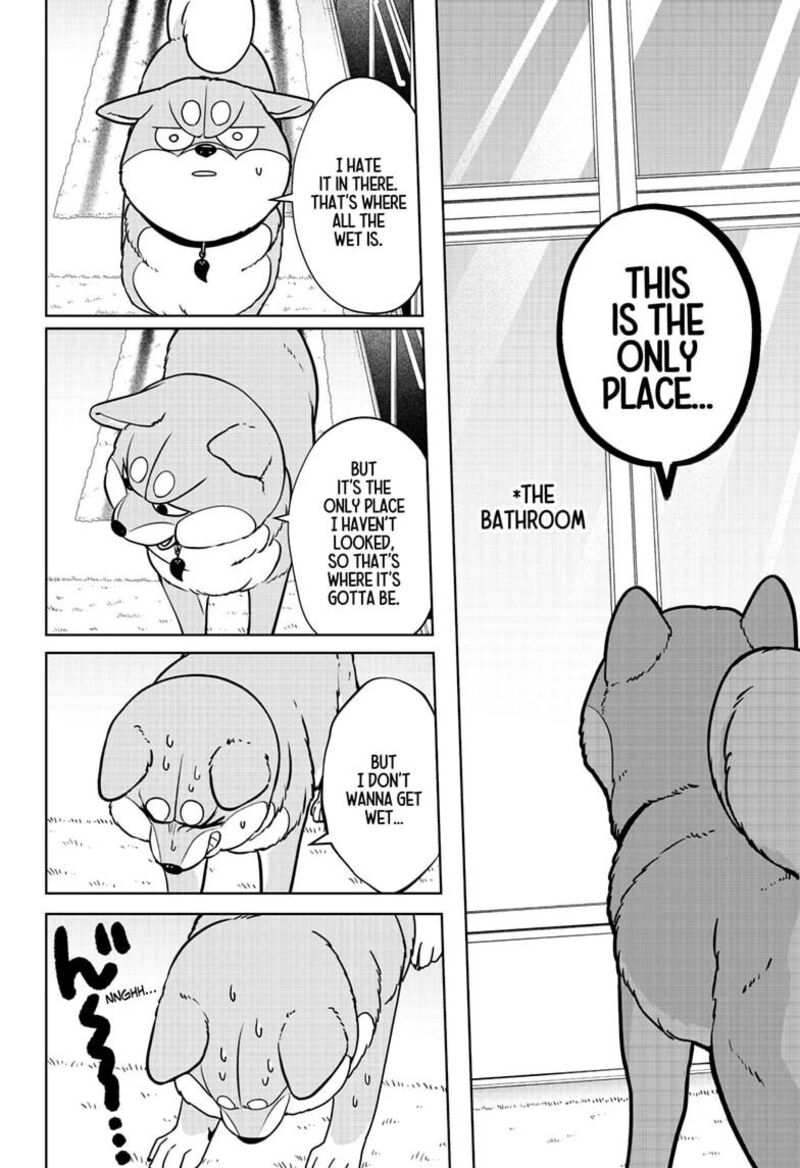 Shiba Tsuki Bukken Chapter 63 Page 12