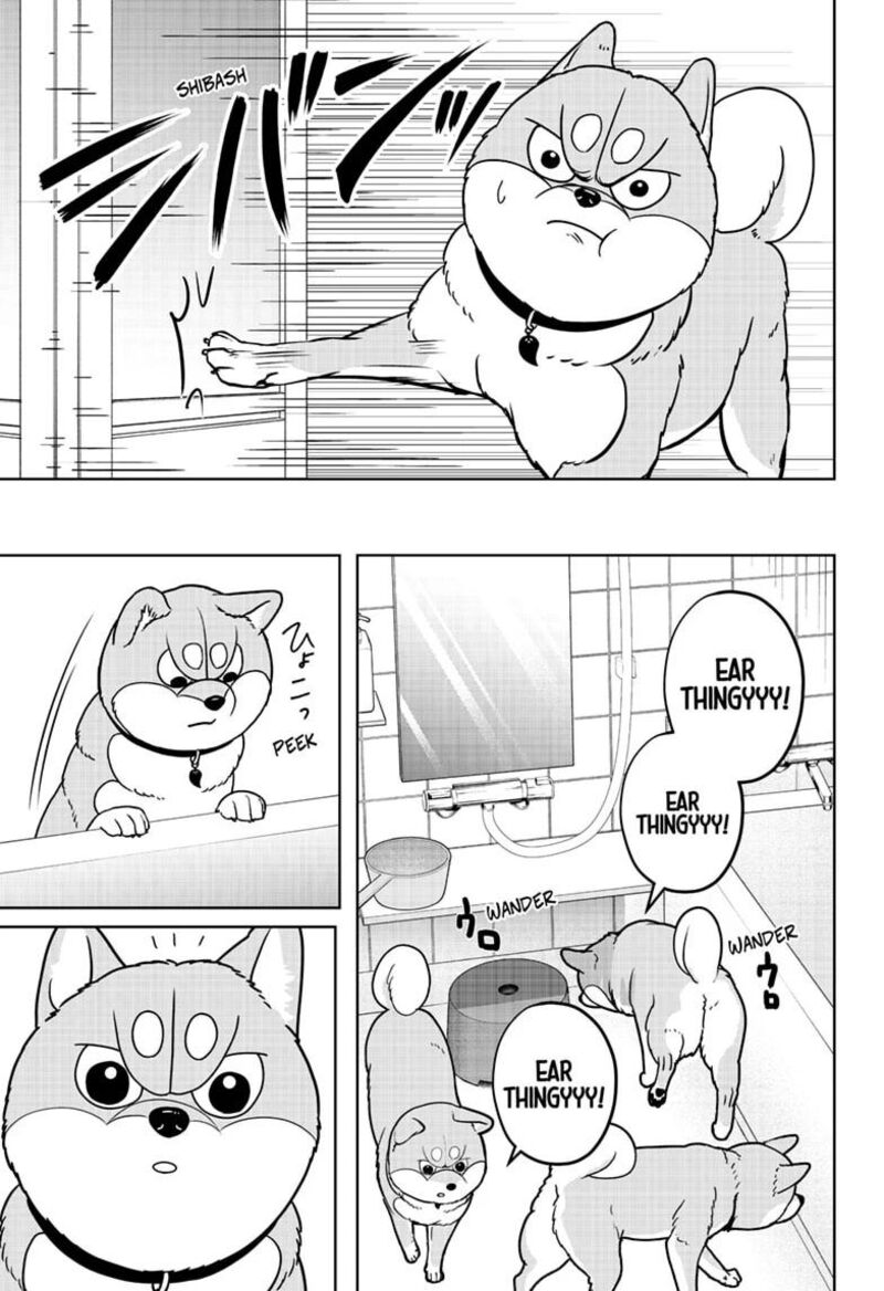 Shiba Tsuki Bukken Chapter 63 Page 13