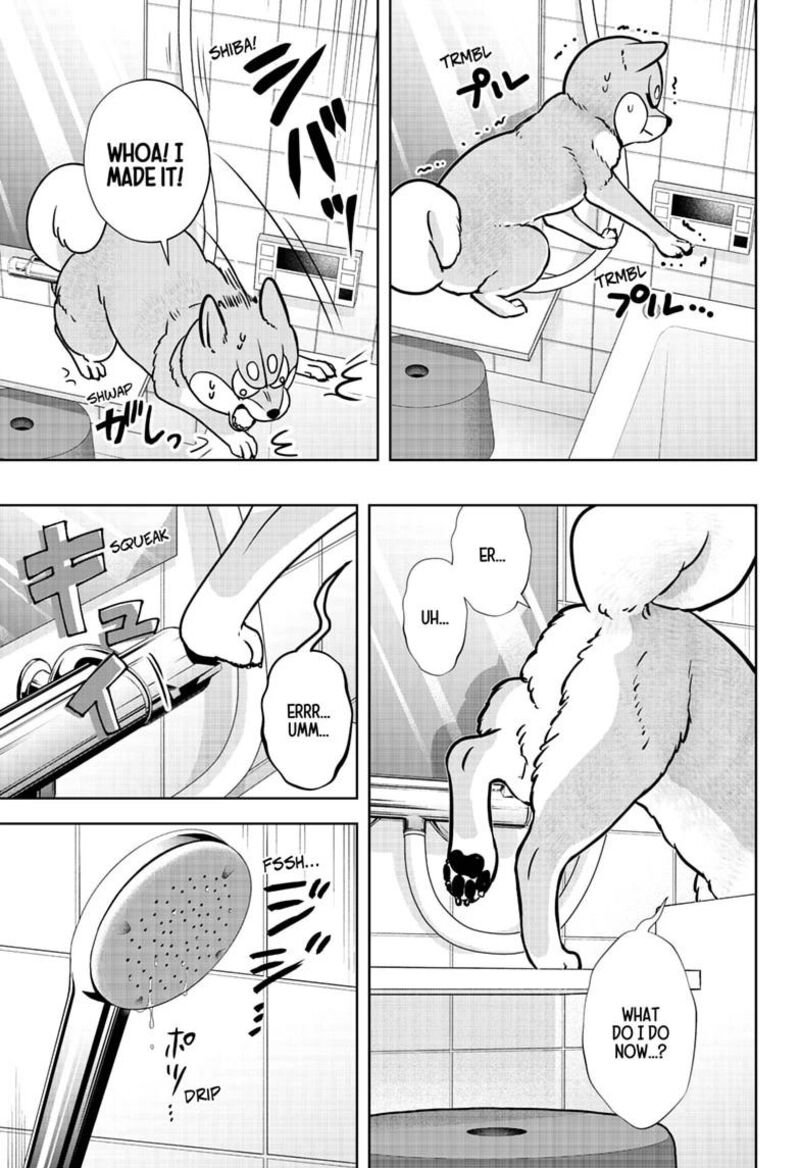 Shiba Tsuki Bukken Chapter 63 Page 15