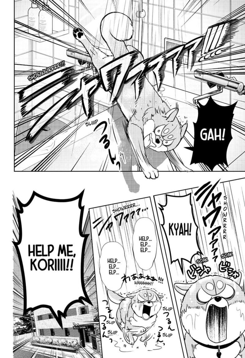 Shiba Tsuki Bukken Chapter 63 Page 16