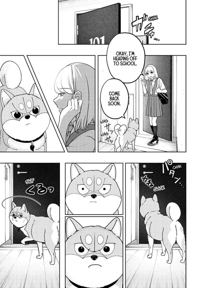 Shiba Tsuki Bukken Chapter 63 Page 5