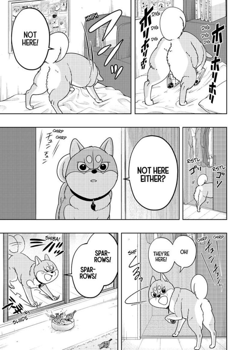 Shiba Tsuki Bukken Chapter 63 Page 7