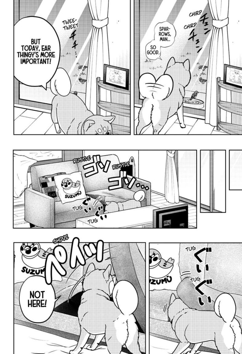 Shiba Tsuki Bukken Chapter 63 Page 8