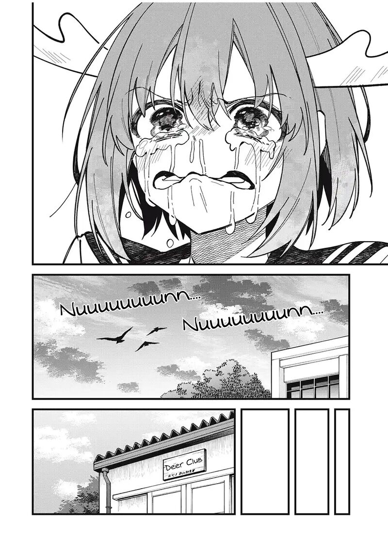 Shikanoko Nokonoko Koshitantan Chapter 46 Page 14