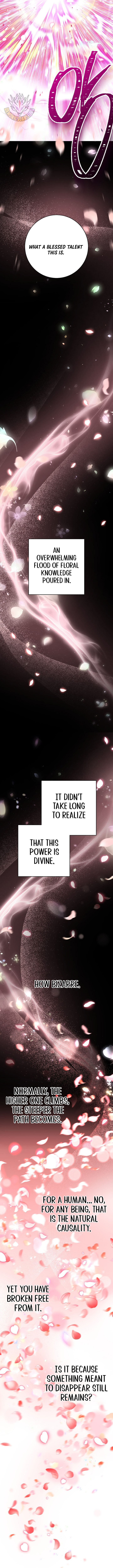 Skeleton Soldier Couldnt Protect The Dungeon Chapter 334 Page 19