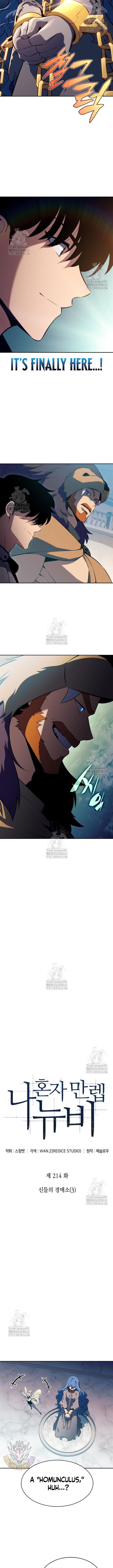 Solo Max Level Newbie Chapter 214 Page 3