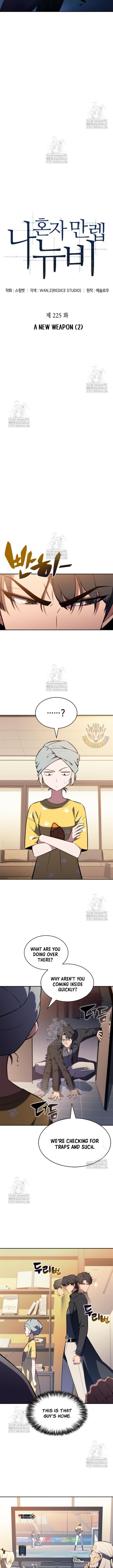 Solo Max Level Newbie Chapter 225 Page 4