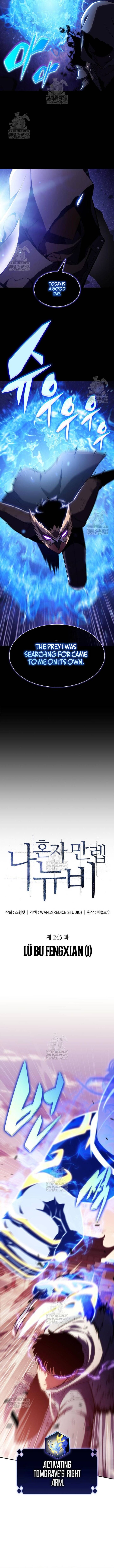 Solo Max Level Newbie Chapter 245 Page 3