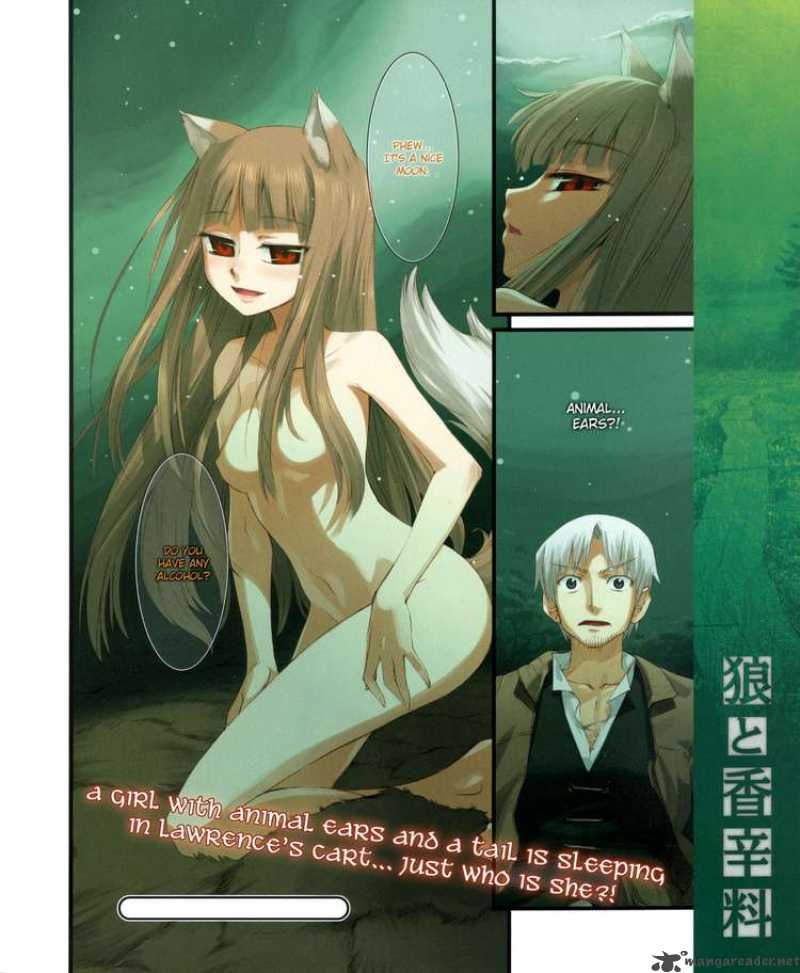 Spice And Wolf Chapter 1 Page 28