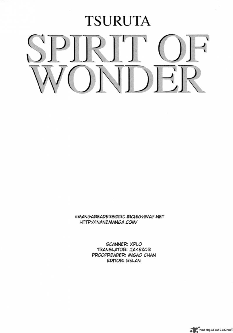 Spirit Of Wonder Chapter 1 Page 2