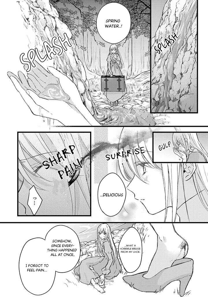 Suterare Danshaku Reijou Wa Kurokishi Sama No Oki Ni Iri Chapter 1b Page 3