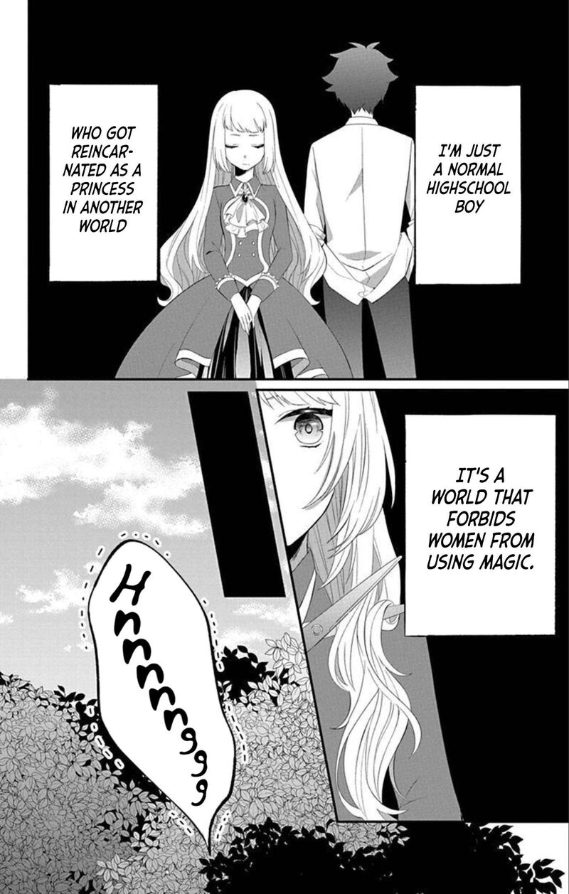 Tensei Shitara Hime Datta Node Dansou Joshi Kiwamete Saikyou Mahou Tsukai Mezasuwa Chapter 2 Page 1