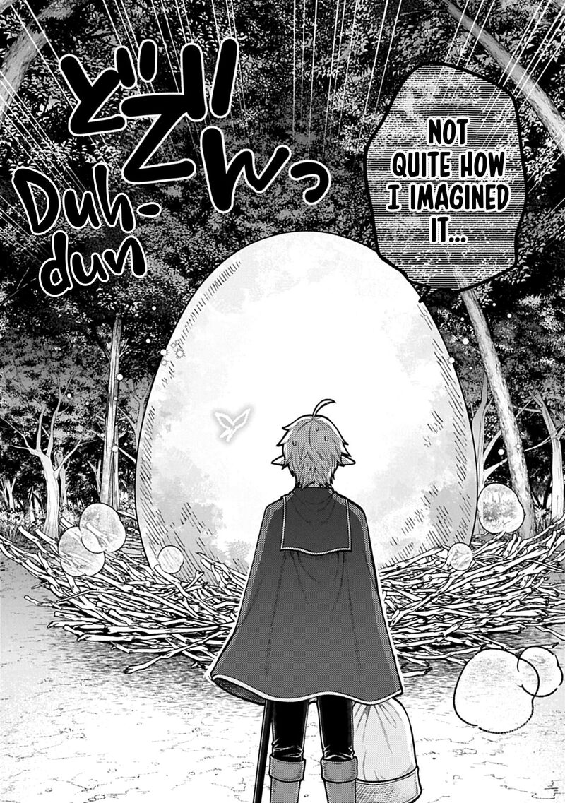 Tensei Shite High Elf Ni Narimashitaga Slow Life Wa 120 Nen De Akimashita Chapter 45 Page 19